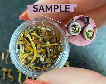 Mini Dried Mushrooms: Tiny Fungi for Resin Art - Set of 40