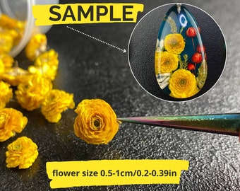 Dried Buttercups (30 pcs): Small Flowers for Resin Art