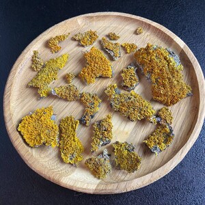 May include: A collection of dried yellow and gray lichen pieces on a wooden plate.