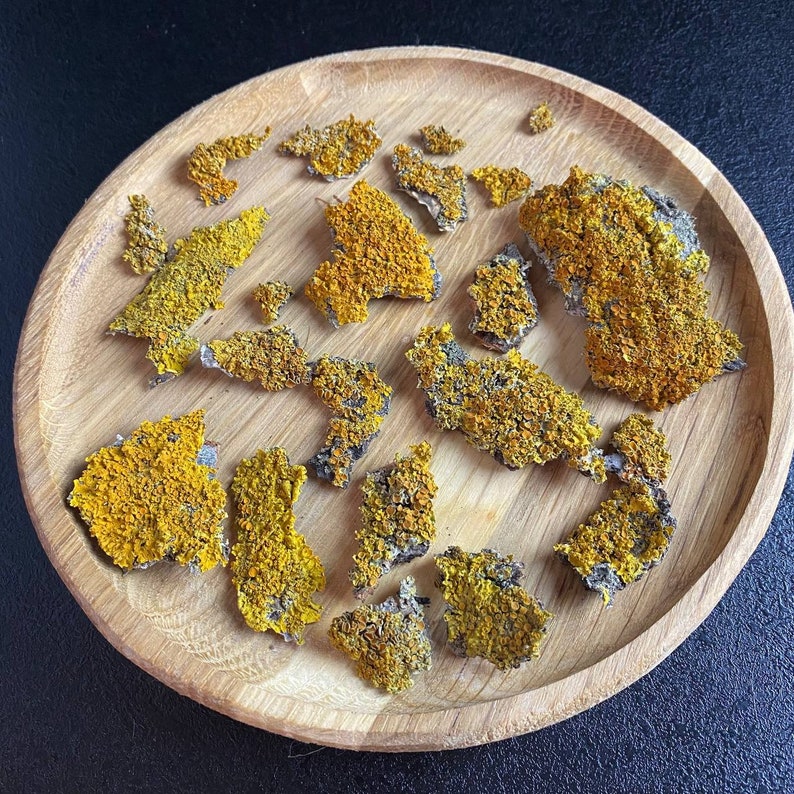 May include: A collection of dried yellow and gray lichen pieces on a wooden plate.