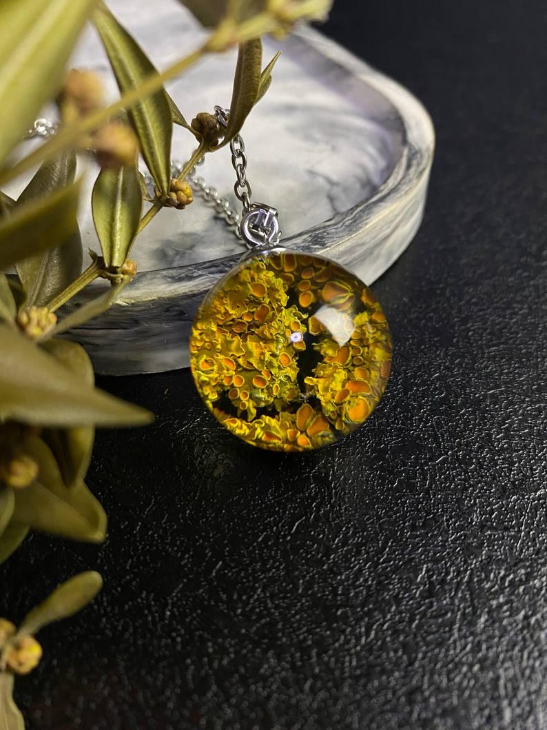 May include: A silver chain necklace with a round pendant featuring a yellow and green pressed flower design encased in clear resin.