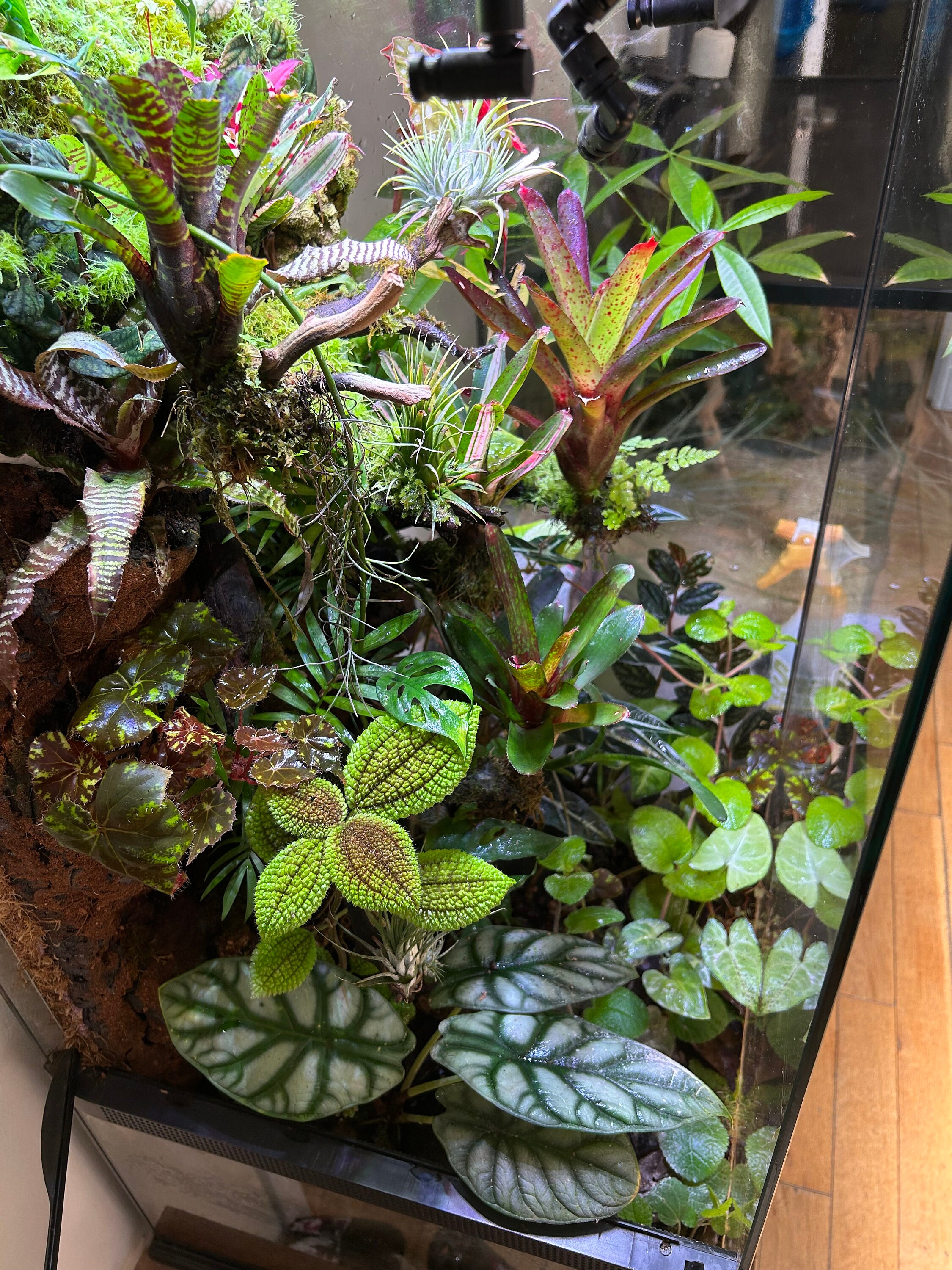 Large Vivarium for Sale / Custom Paludariums or Vivariums of Any Size