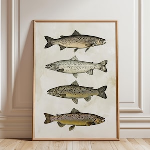 Retro Fish Species Print, Fish Wall Art, Fisherman Aesthetic Wall Decor, Trout Art, Coastal Wall Art Print, Fish Lover Gift