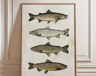 Retro Fish Species Print, Fish Wall Art, Fisherman Aesthetic Wall Decor, Trout Art, Coastal Wall Art Print, Fish Lover Gift