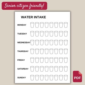 Senior-Friendly Water Intake Tracker - Large Print PDF