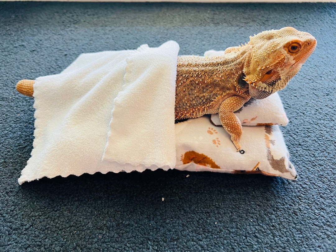 Fresh Look at Bearded Dragon Reptile Small Animal Pet Bed W Pillow Free
