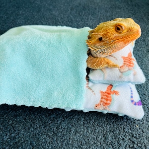 Bearded dragon/reptile/small animal/pet bed w/pillow & FREE blanket (Bearded Dragon design-white).  FREE SHIPPING!