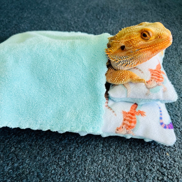 Bearded dragon/reptile/small animal/pet bed w/pillow & FREE blanket (Bearded Dragon design).