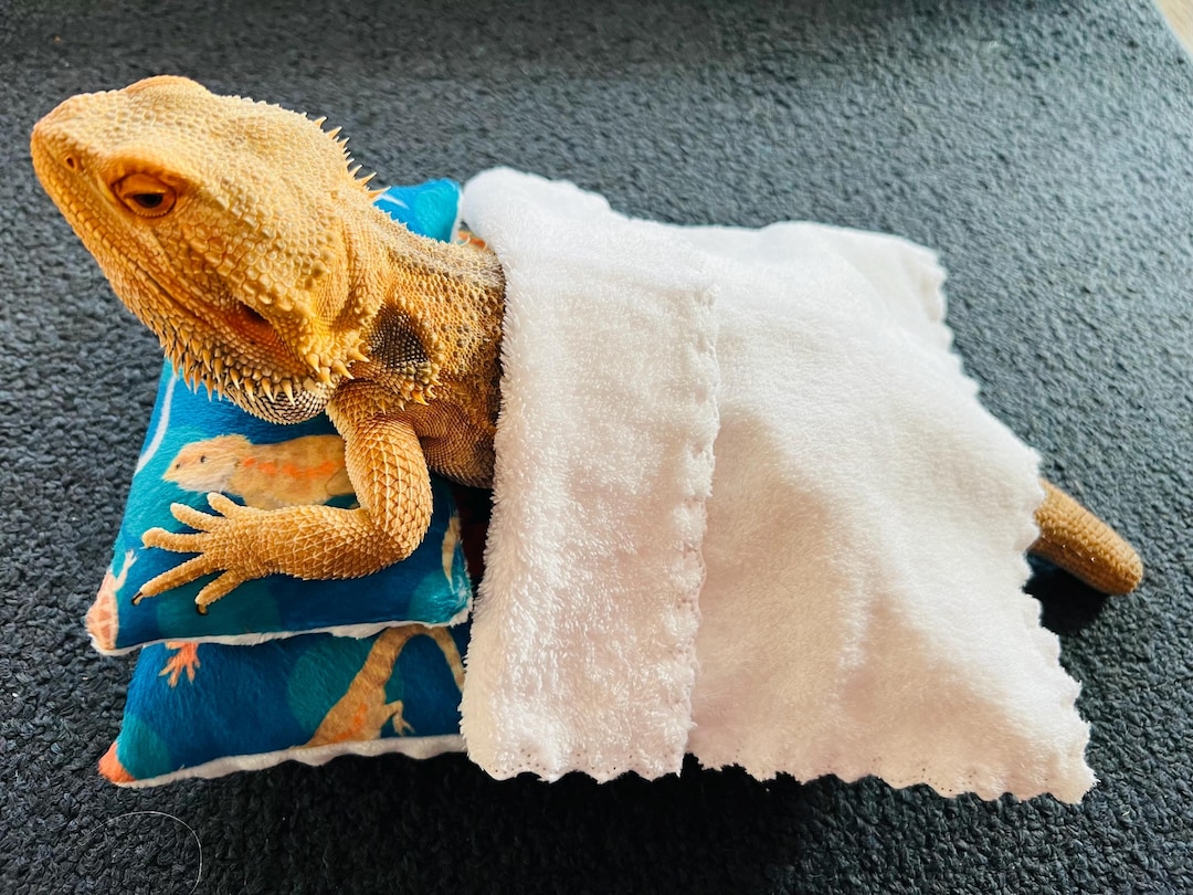 Bearded Dragon Bed With Pillow & Blanket: Blue Minky Reptile Pet Bed - Etsy