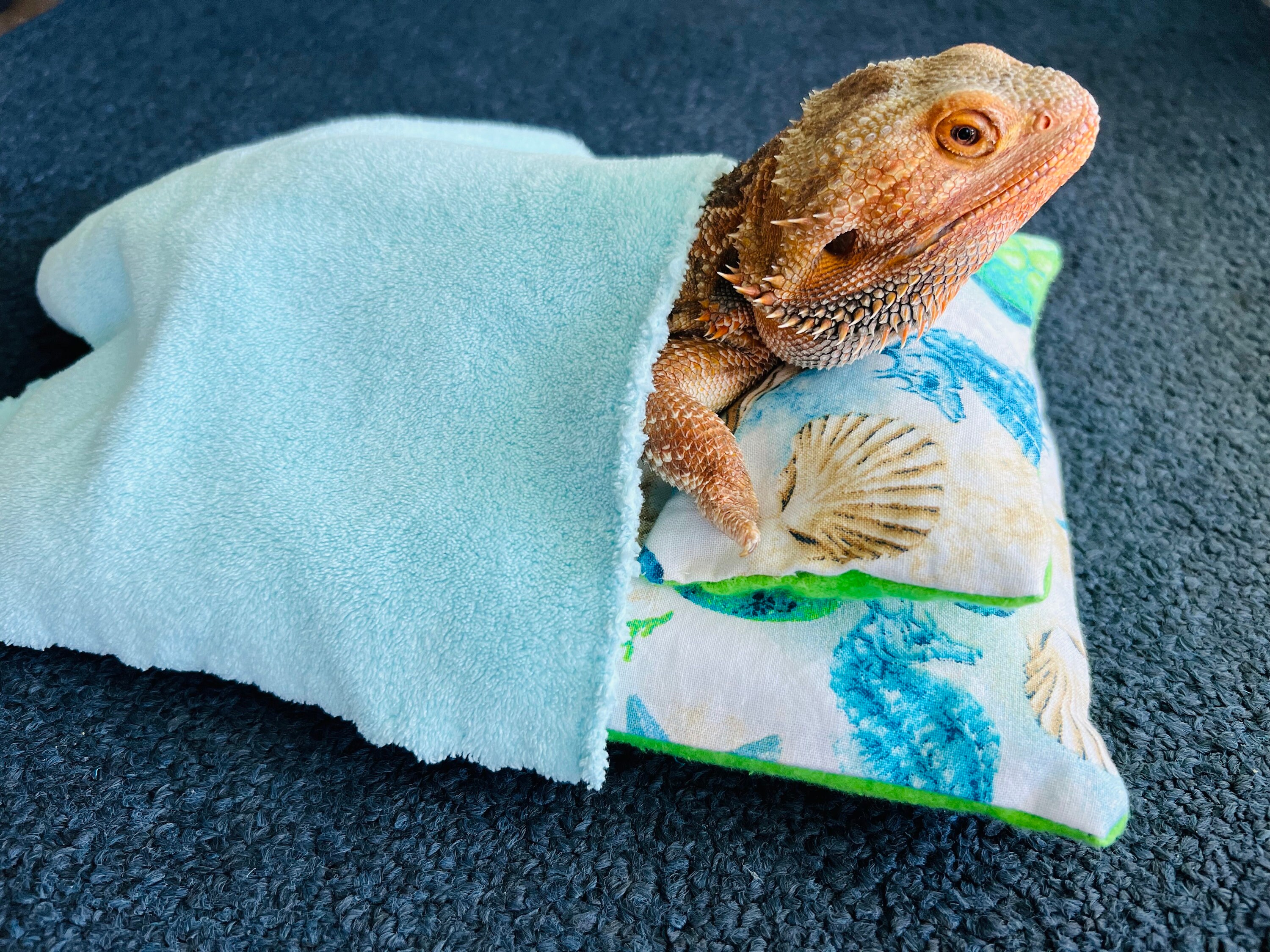 Bearded Dragon Sleeping Bag Etsy