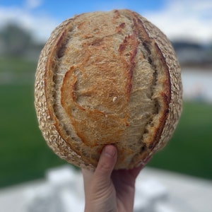 Sourdough Bread Recipe