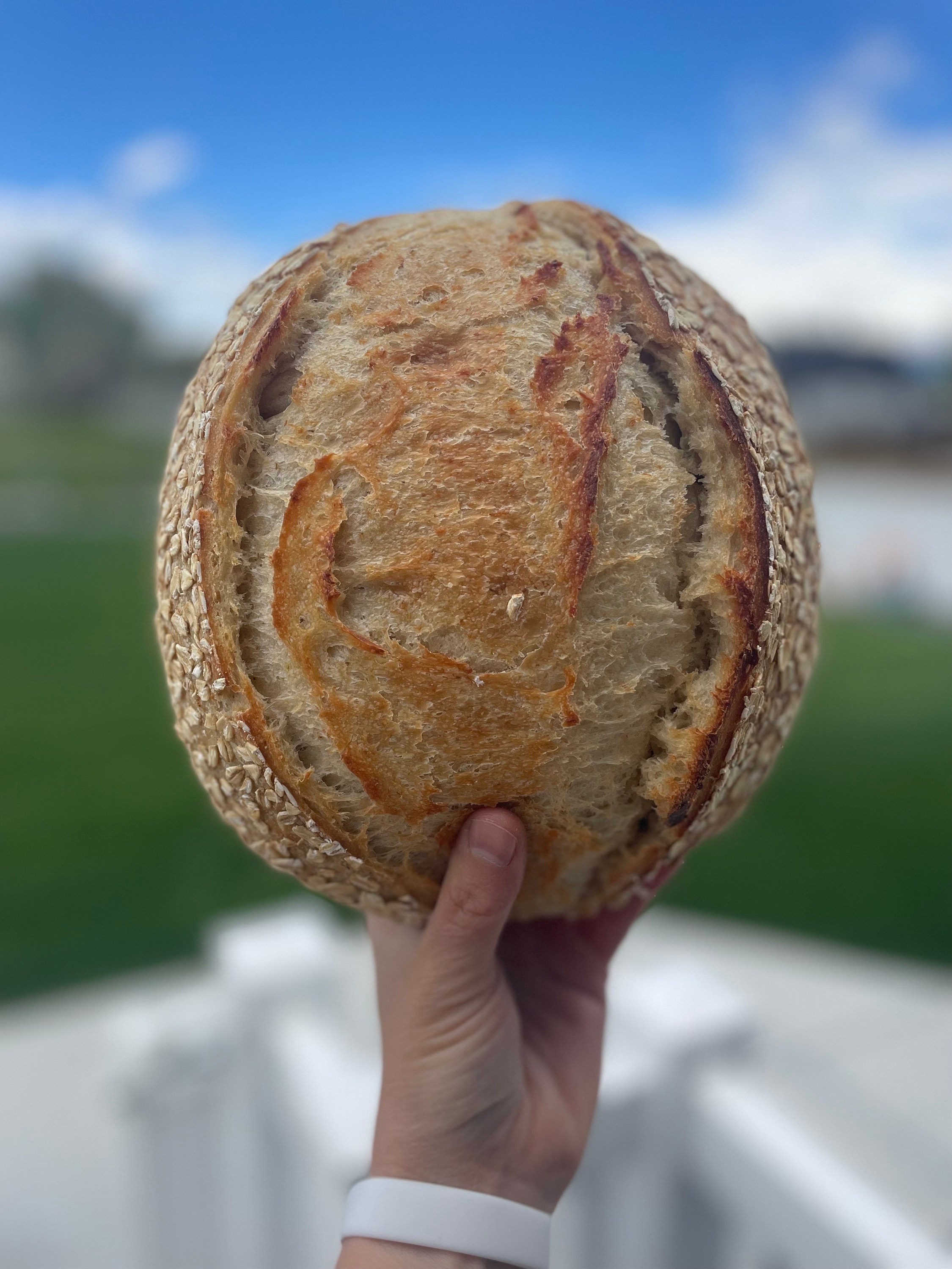 Sourdough Bread Recipe