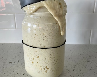 100% Organic Kamut Sourdough Starter