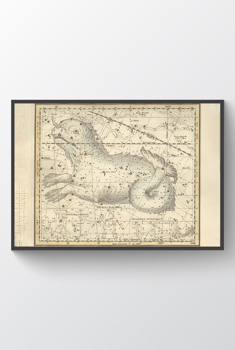 14th zodiac sign cetus 60 photos - Astrologytoyou.com