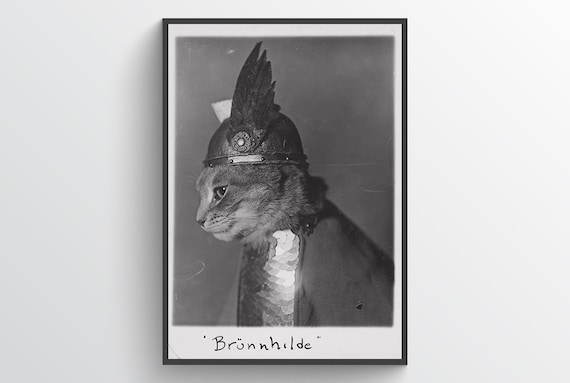 Cat in Viking Helmet Brünnhilde, 1930s, Home Decor, Cat, Funny