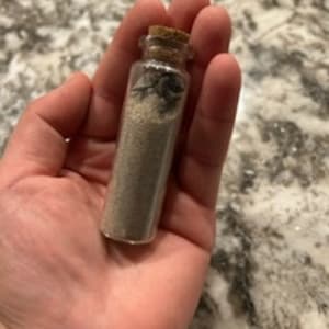4 denti di squalo selezionati con cura in un contenitore di vetro da 10 ml con tappo in sughero dalle spiagge più belle della Florida