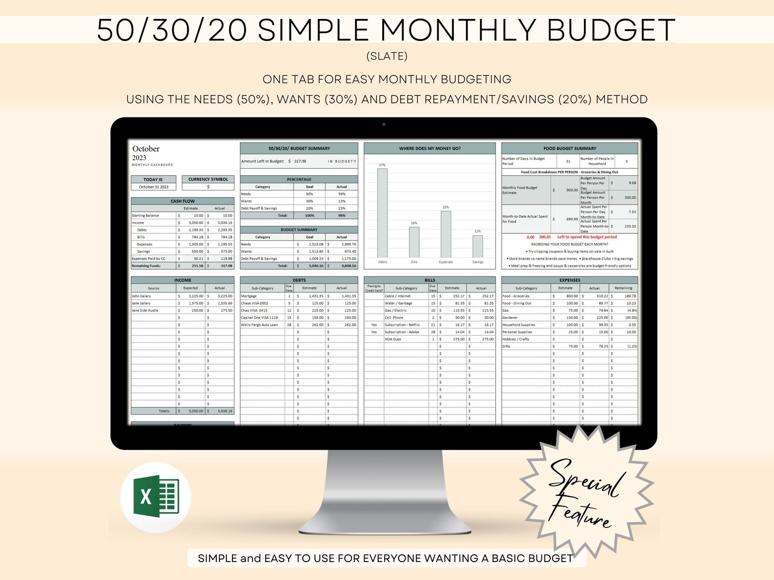 50/30/20 Budget Spreadsheet, Monthly Budget Planner, Basic Budget