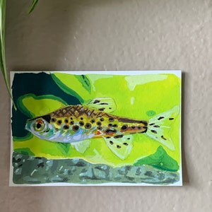 カラフルなテトラ魚の水彩画、手描きの自然イラストギャラリーの壁アート。ミックスメディアのオリジナルファインアート