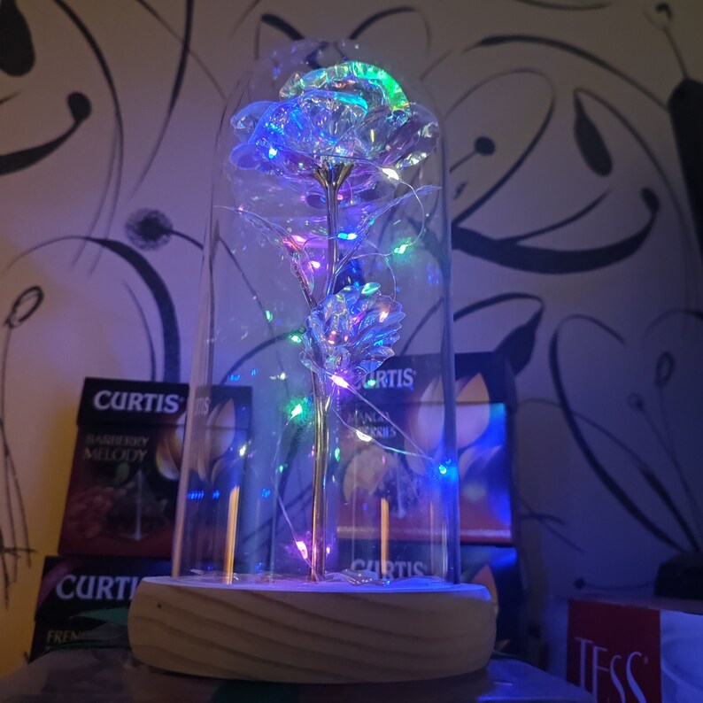 Rose Flower Lamp Galaxy Rose Eternal Rose Eternal Flower Etsy