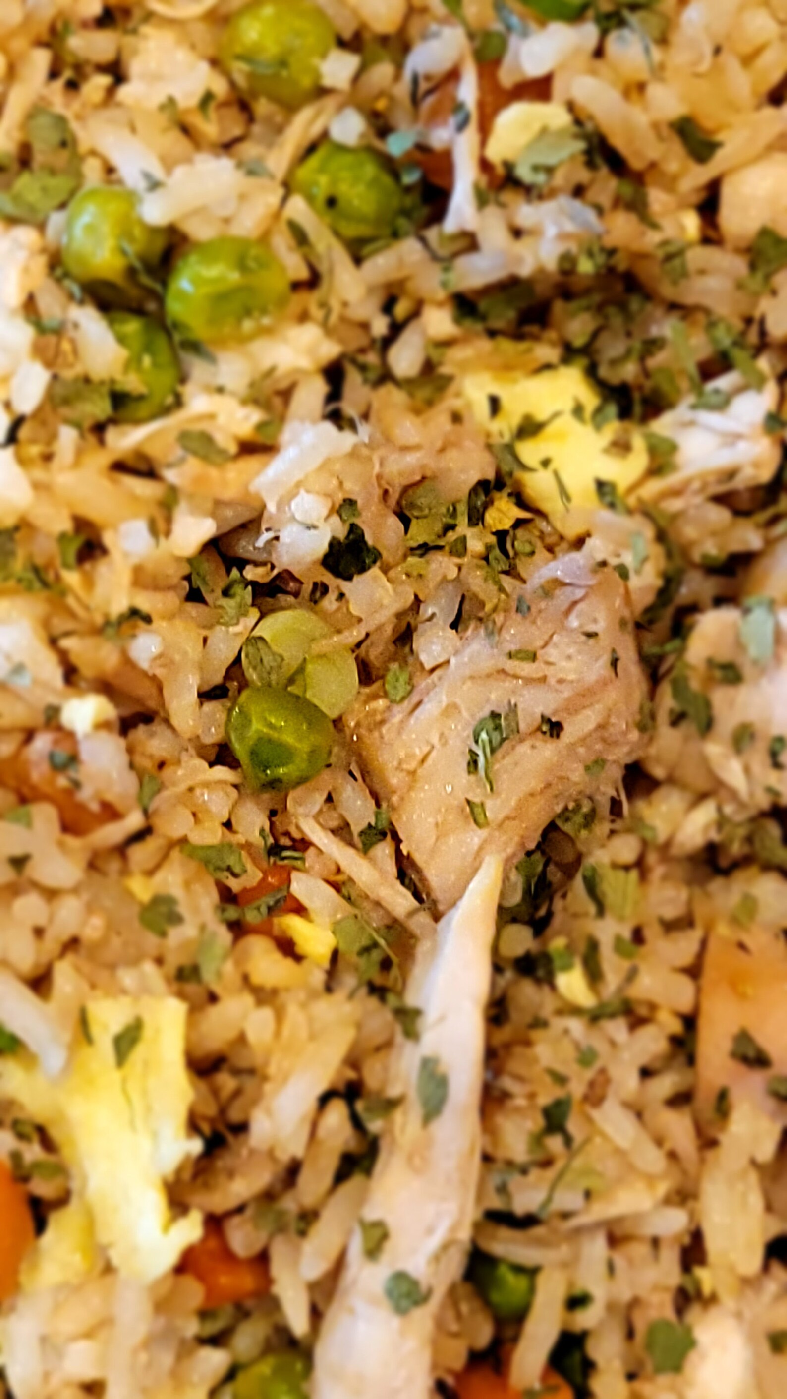 Freeze-dried Chicken Fried Rice Gourmet Camping Food, Emergency ...
