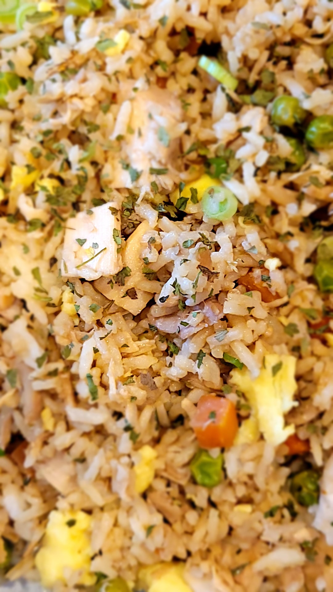 Freeze-dried Chicken Fried Rice Gourmet Camping Food, Emergency ...
