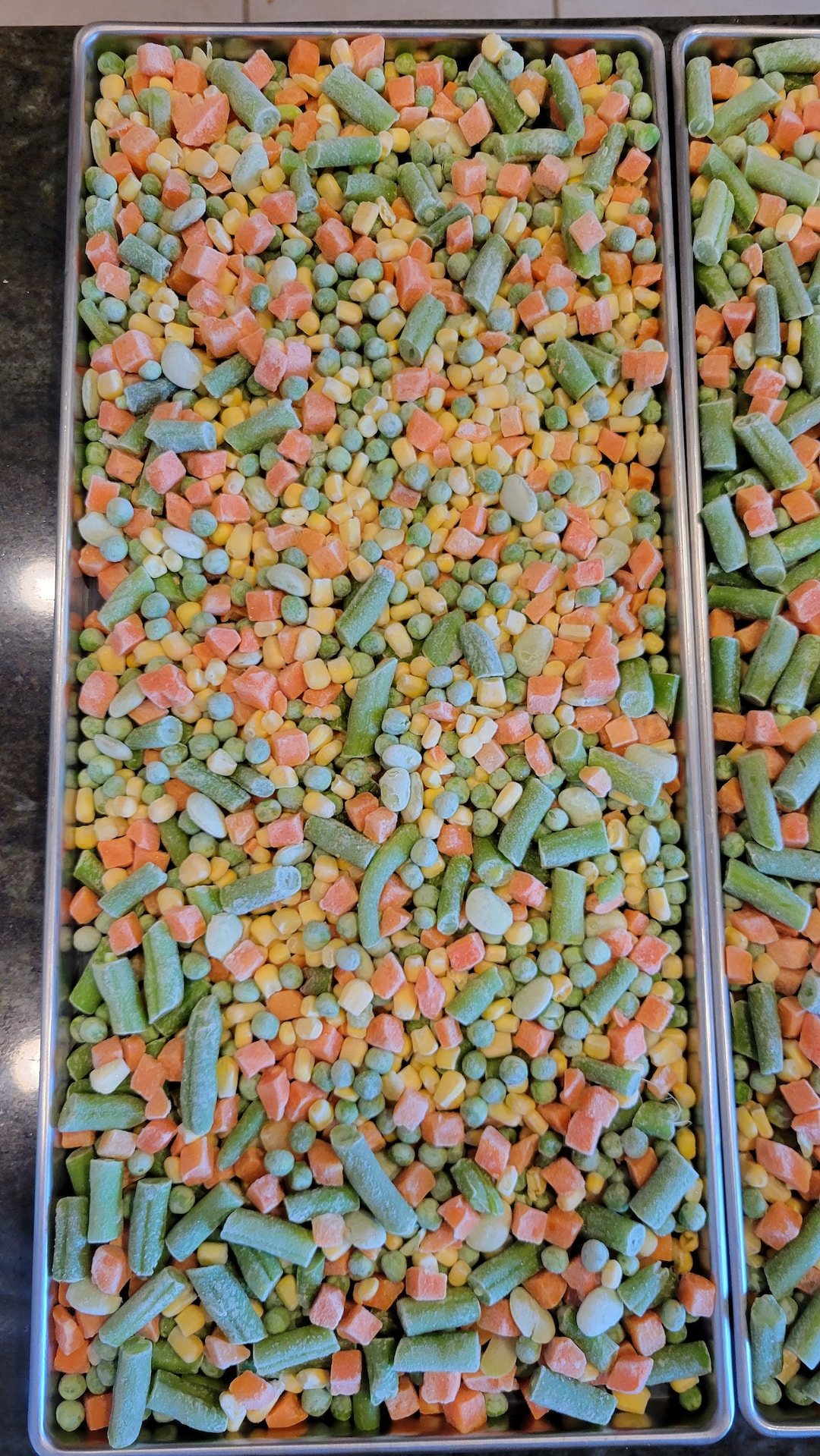 Freezedried Vegetables. Emergency Food Supply. Long Term Storage Food. Camping, Hunting, Hiking