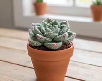 Succulent Crochet Pattern