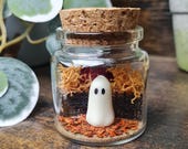 Item from this shop