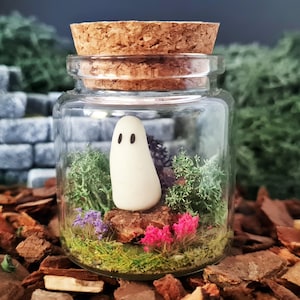 May include: A small glass jar terrarium with a white ghost figurine, green moss, and pink flowers.