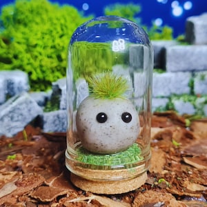 May include: A miniature terrarium with a speckled, round creature with black eyes and green hair, housed in a glass dome. The creature sits on green moss, above a cork base, forming a small fantasy landscape. The dome is approximately 8 cm tall.