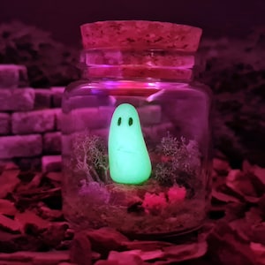 May include: A glass jar with a cork lid containing a glowing green ghost figurine and moss. The jar is sitting on a bed of red wood chips.