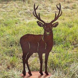 Edelrost deer looking forward 95 x 54 cm standing on plate garden decoration rust metal rust figure forest animal gift rusty decoration