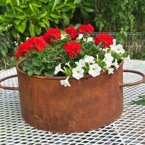 Könnte beinhalten: Ein rostbrauner Metalltopf gefüllt mit roten und weißen Blumen. Der Topf hat zwei gebogene Griffe und steht auf einer weißen Metallgitteroberfläche. Grünes Laub ist im Hintergrund zu sehen.