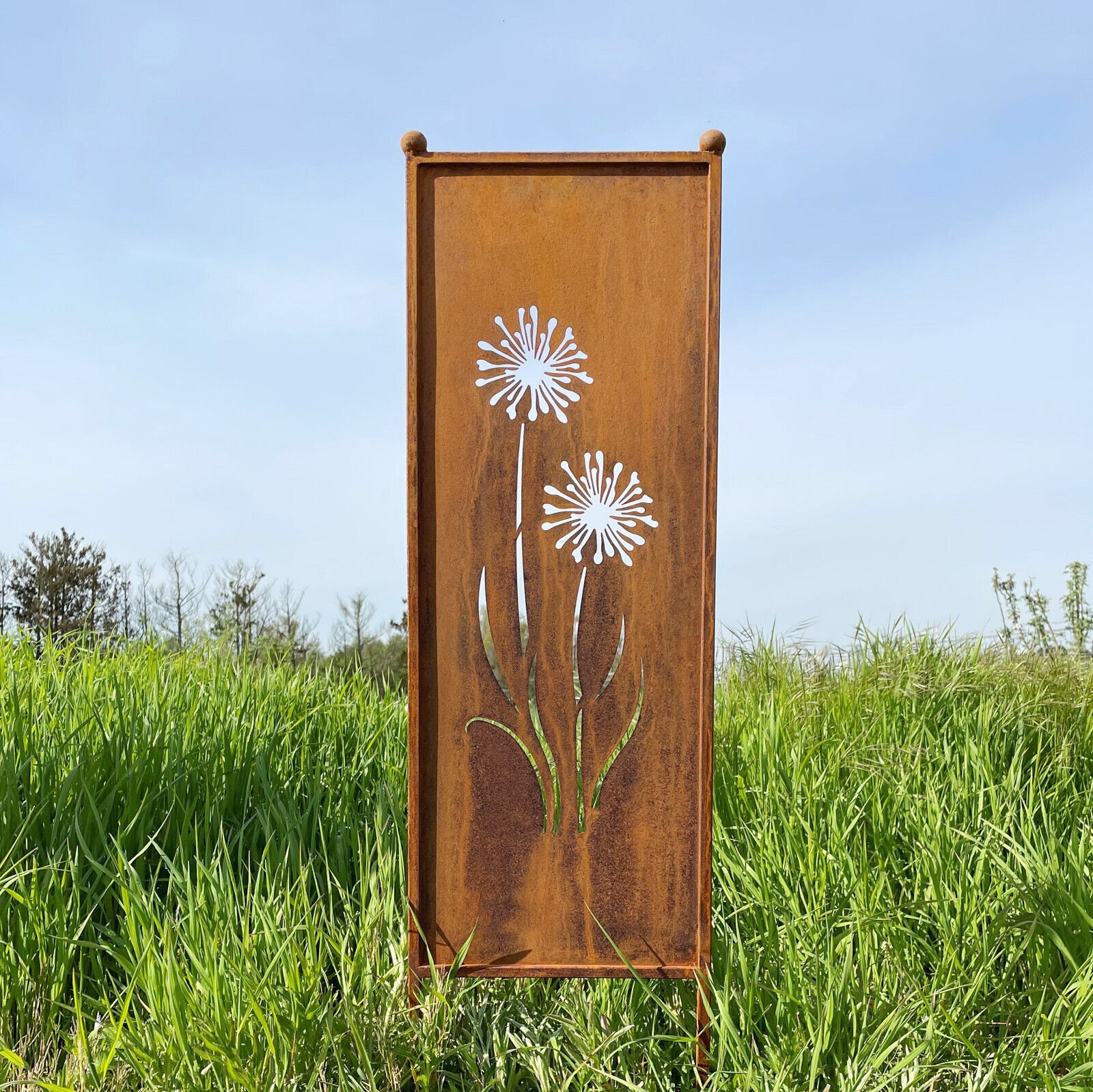 Edelrost Sichtschutz Motiv Allium Blumen 116x33cm / 162x53cm zum