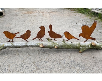 Patina set van 6 vogels met schroef om in hout te schroeven tuindecoratie roestmetalen tuinfiguur roestfiguur metalen figuur vogel tuinhek tak