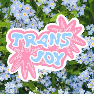 以下が含まれることがあります： 「TRANS JOY」という文字が水色の波打つバブルスタイルのフォントで描かれたステッカー。文字は白い輪郭を持つピンク色の星型の背景の上に配置されています。左下隅には「BIG BOYS CRY」という小さな文字が見えます。
