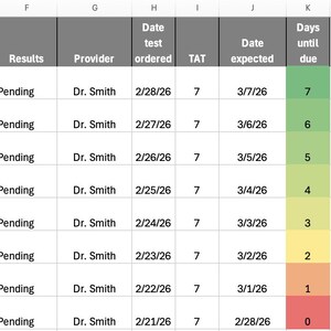 May include: A spreadsheet with data on patient Jane Doe, including MRN, DOB, diagnosis of Congenital Heart Defect, and lab results. Columns include 'Date test ordered', 'TAT', 'Date expected', and 'Days until due'.