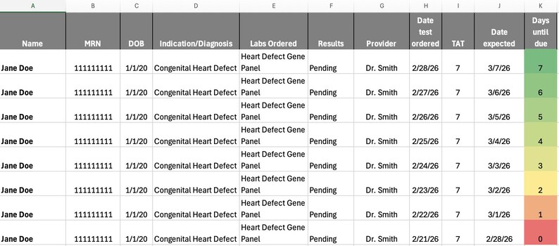 May include: A spreadsheet with data on patient Jane Doe, including MRN, DOB, diagnosis of Congenital Heart Defect, and lab results. Columns include 'Date test ordered', 'TAT', 'Date expected', and 'Days until due'.