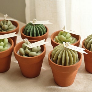 Succulent Candle | Plant Scented Candle | Plant Candle | Soy Wax Candle