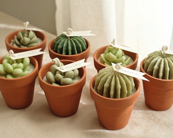 May include: A set of six small terracotta pots, each containing a green succulent or cactus candle. The candles are shaped like different types of succulents and cacti, and they have a realistic appearance. The pots are all the same size and shape, and they have a rustic, earthy look.