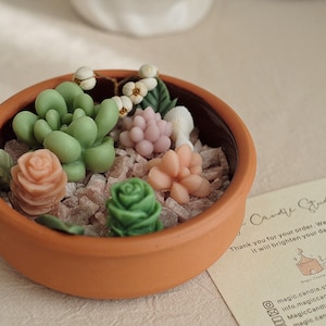 Succulent Garden Candle | Succulent Candle | Plant Scented Candle | Plant Candle | Soy Wax Candle