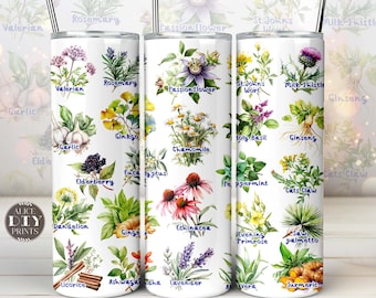 Medical Herbs and Spices Names 20oz Skinny Tumbler Wrap Herbal Healthcare PNG Sublimation Designs Download (Plus 9 FREE Designs)