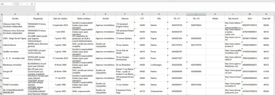 Prospecting File Examples CUSTOMER FILE - B2B PROSPECTING - Etsy