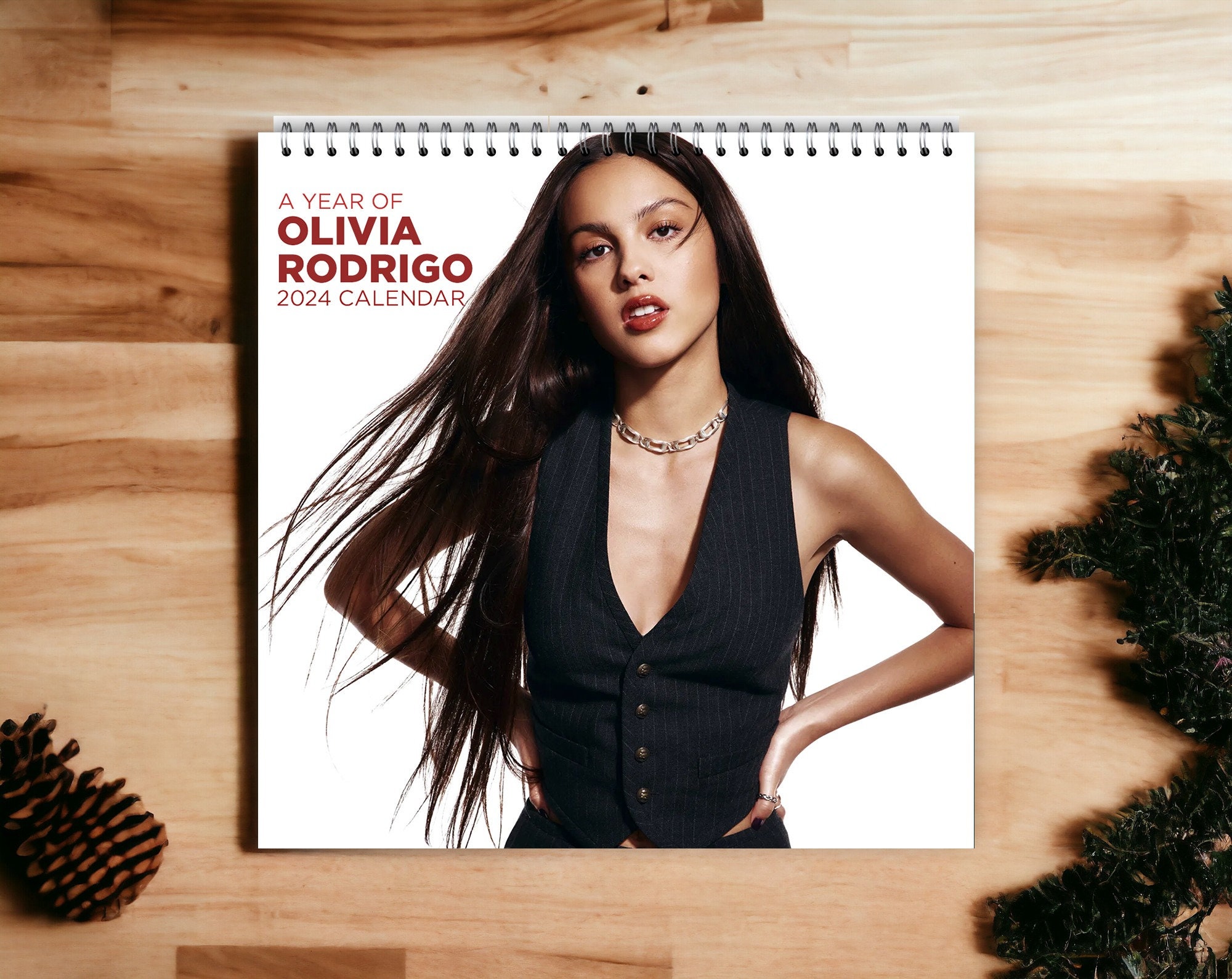 The Sour Girl 2024 calendar, Olivia 2024 wall calendar, Rodrigo