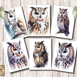 British Wildlife Tawny Owls  Watercolour Note Cards: Handmade A6 Greeting Cards - Set of 6
