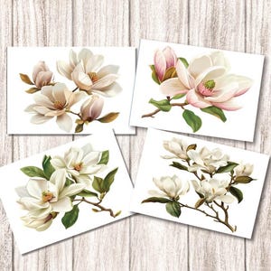 4 x Cartes postales Belles fleurs de magnolia - Rose et blanc A6 Taille 10,5 cm x 14,8 cm