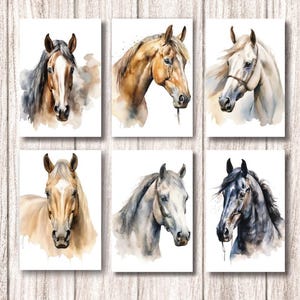 May include: Six watercolour prints of horse heads in various colours, including brown, white, and grey. Each print features a detailed depiction of a horse's face, with a focus on the eyes and mane. The prints are displayed on a wooden background.