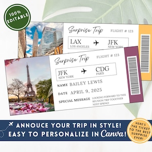 Custom Boarding Pass TemplatePrintable Airline Ticket Customizable Canva Plane Tickets Instant Download DIY Airplane Ticket Gift Card