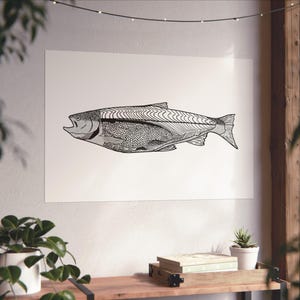 Hand Drawn Sockeye Salmon Fine Art Posters Illustration from the Kenai river in Soldotna Alaska
