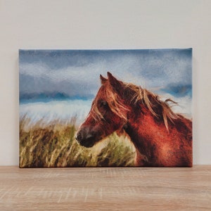 Horse - Canvas Print - Wall Art Picture - Home Design - Decor